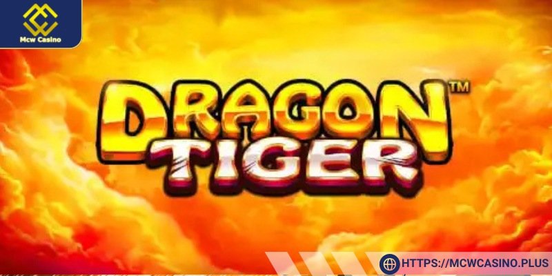 The Exciting Dragon Bet