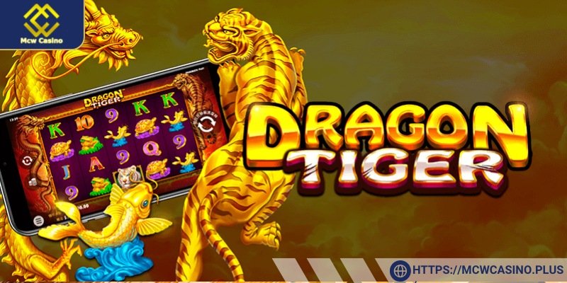 Understanding Dragon Tiger Online