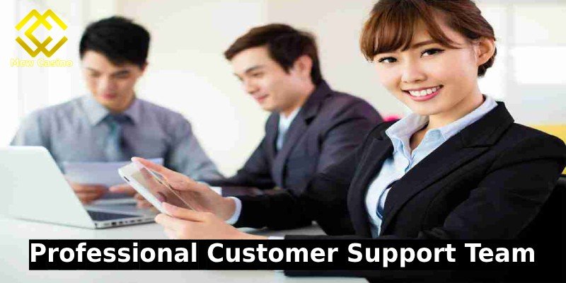 Professional Customer Support Team
